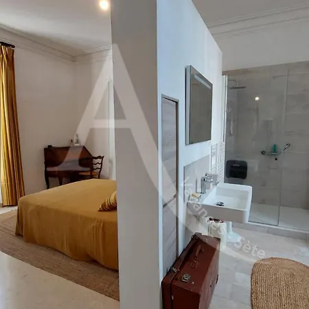 Villa Maison De Maitre Capacite 10 Personnes Avec Piscine, Wifi Et Stationnement *